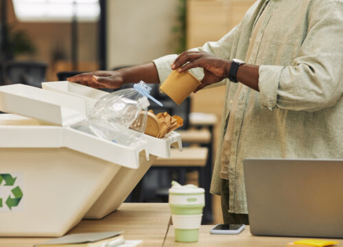 Zero-Waste Events: Myth or Reality?